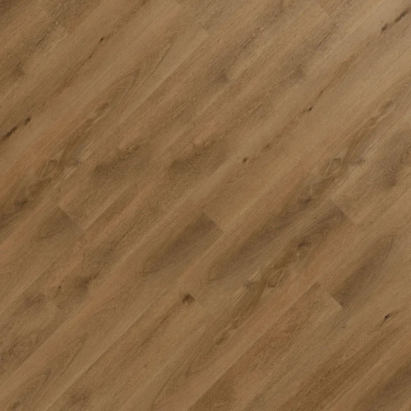 SG330 LVT