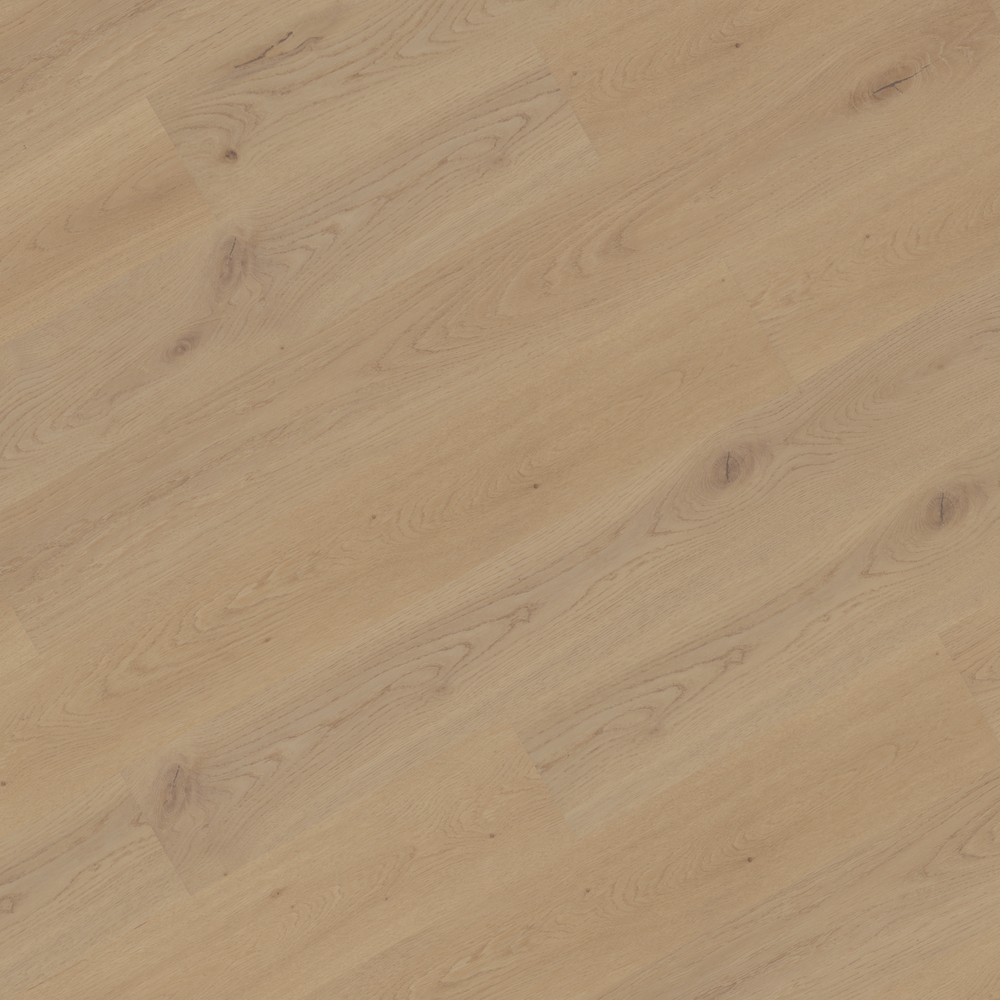 Kora Signature Micro Bevel 40 MIL