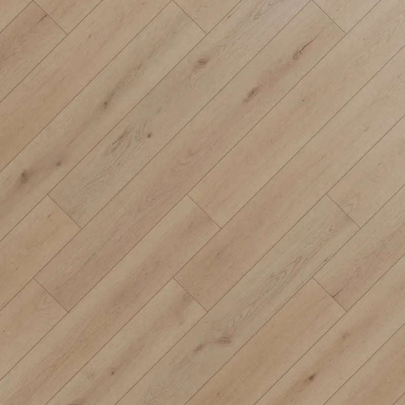 Kora