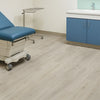 Lachlan 