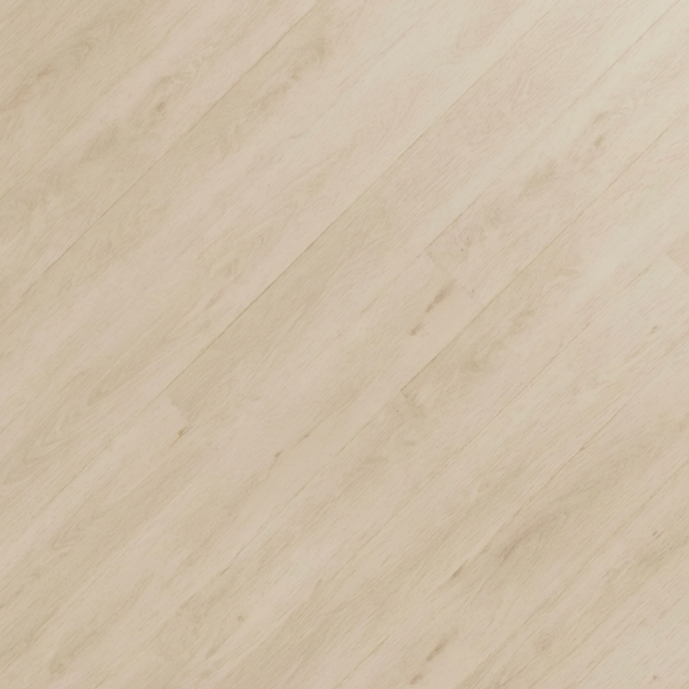 Lato Signature Micro Bevel 40 MIL